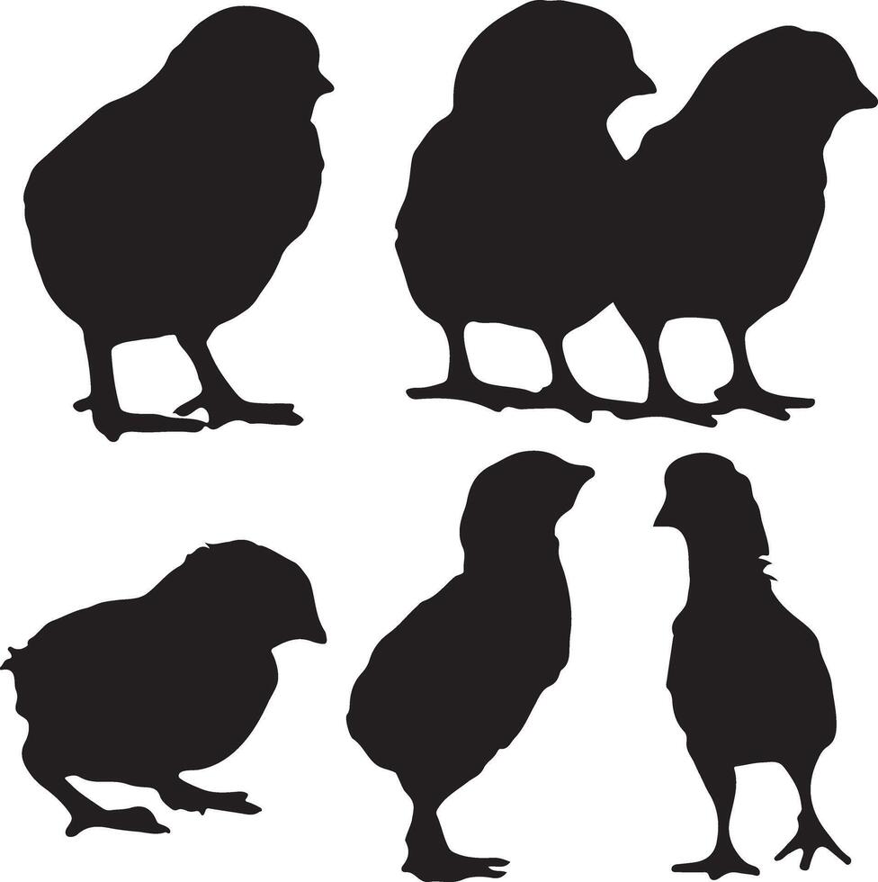 silhouette of chicken, chicken, chicken, chicken, chicken, chicken, chicken, chicken, vector