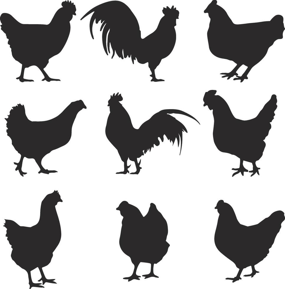 chicken silhouette set illustration vector