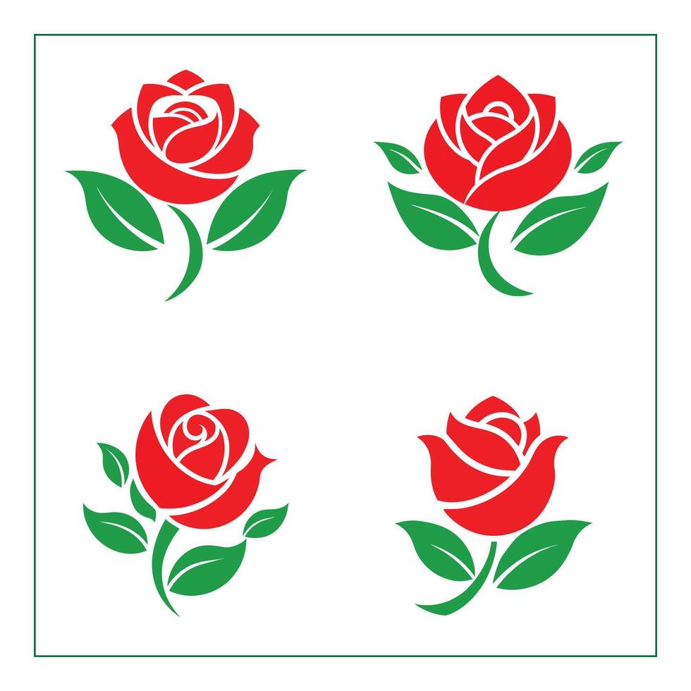Red Rose Flower vector