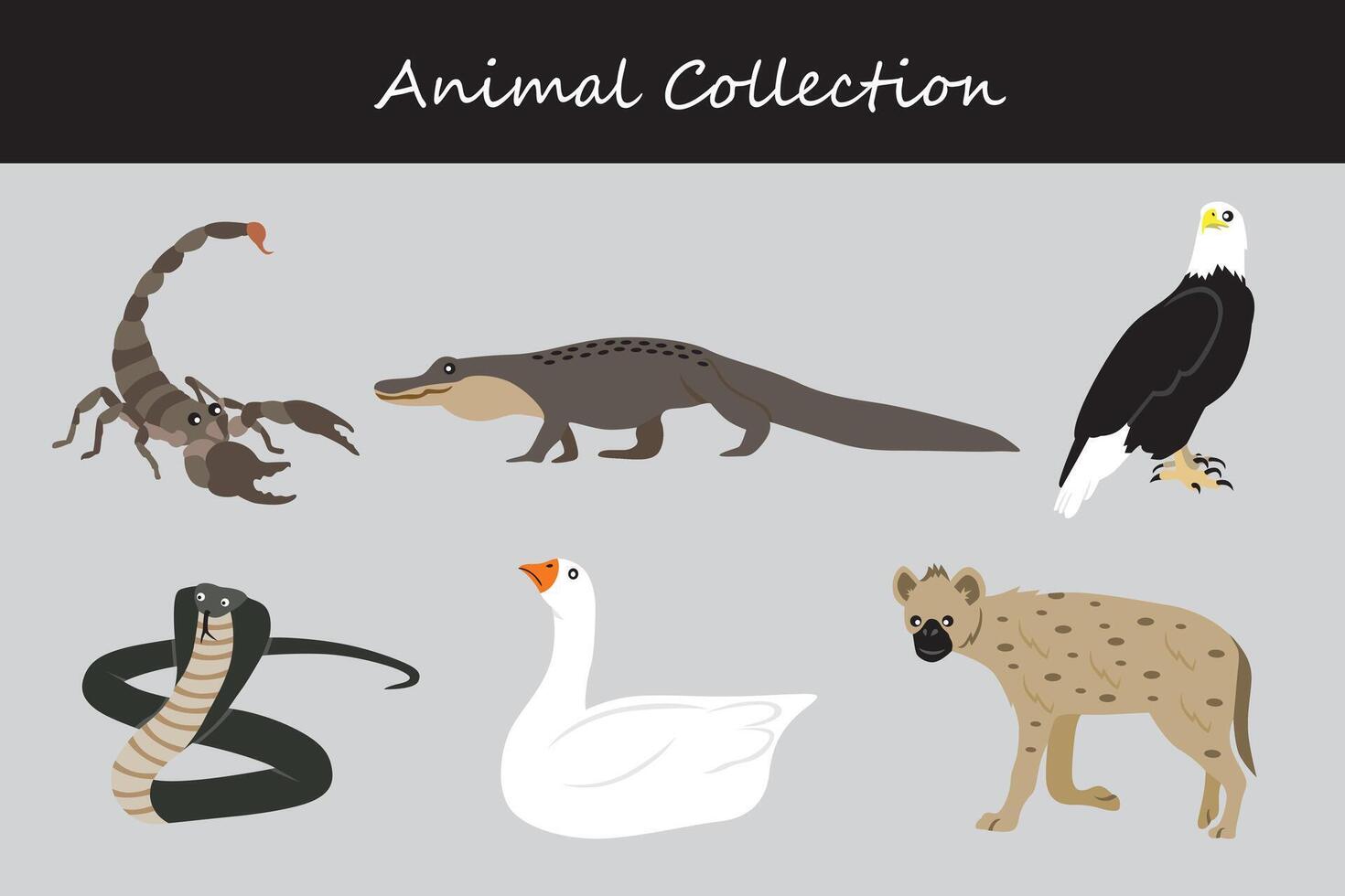 Animals collection. Flat style illustration. vector