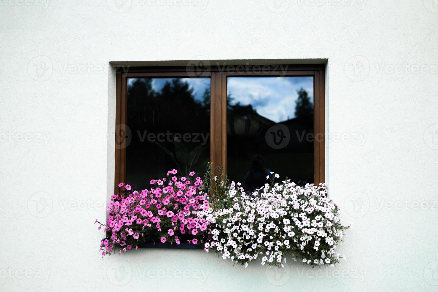 Flower arrangements with petunias for the window of your house photo