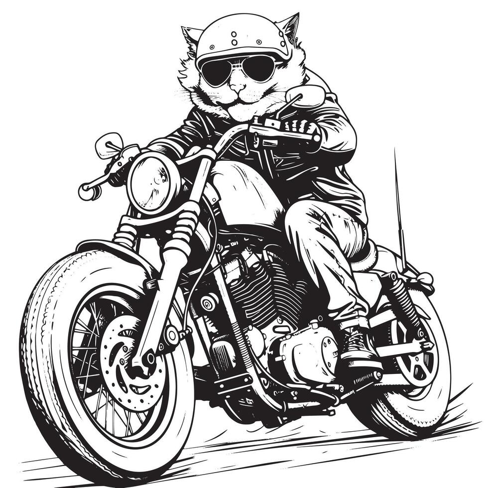 Stylish cat cruising on a modern motorcycle, embodying cool conf vector