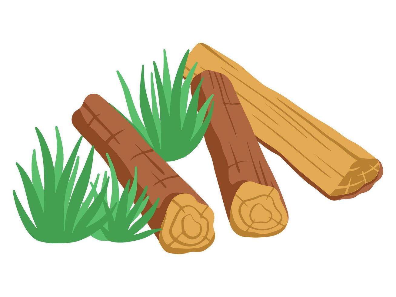 Bonfire Wood and Grass Element Illustration vector