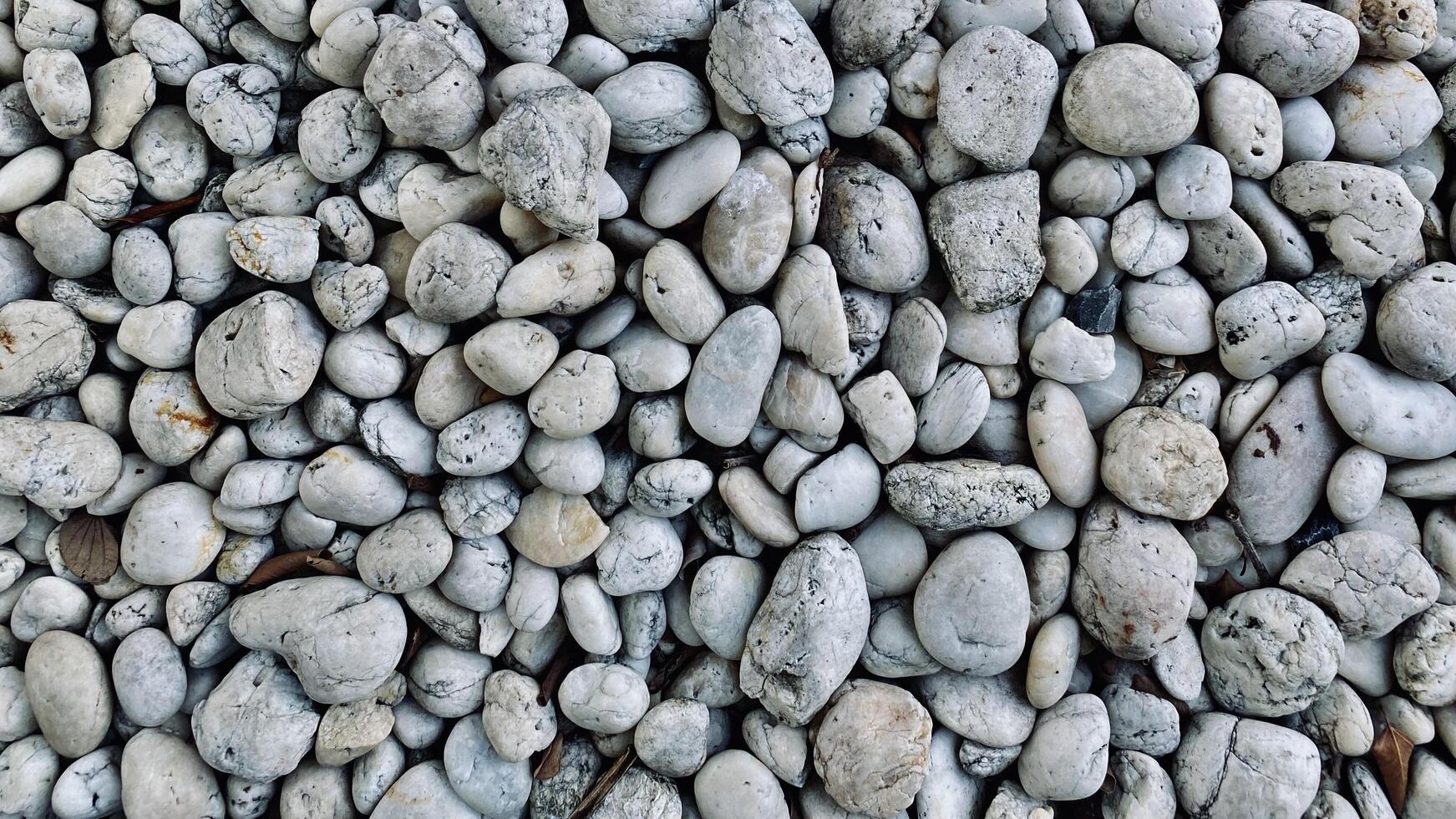 White round pebble stones background, rough texture of the stone, material for the garden decoration photo