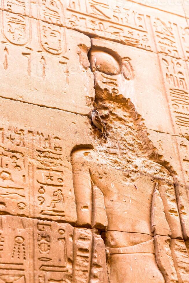 Horus Temple , Edfu, Egypt photo
