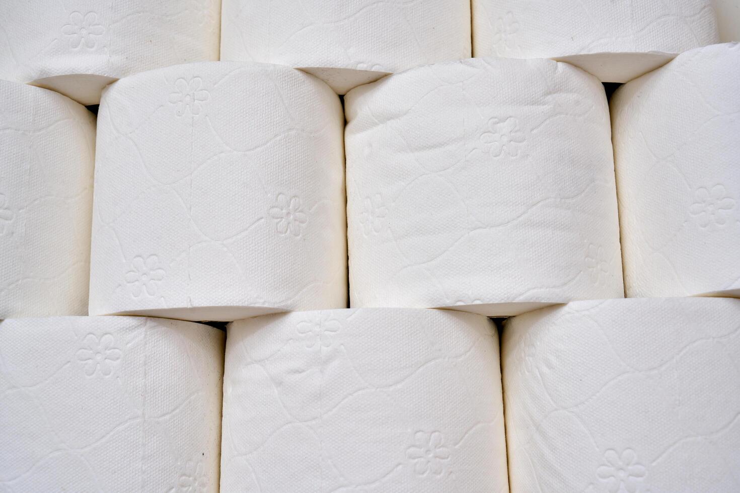 Pile of toilet paper in wc photo