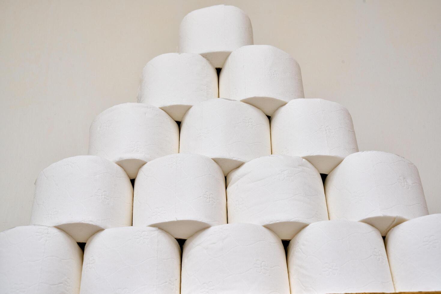 Pile of toilet paper in wc photo