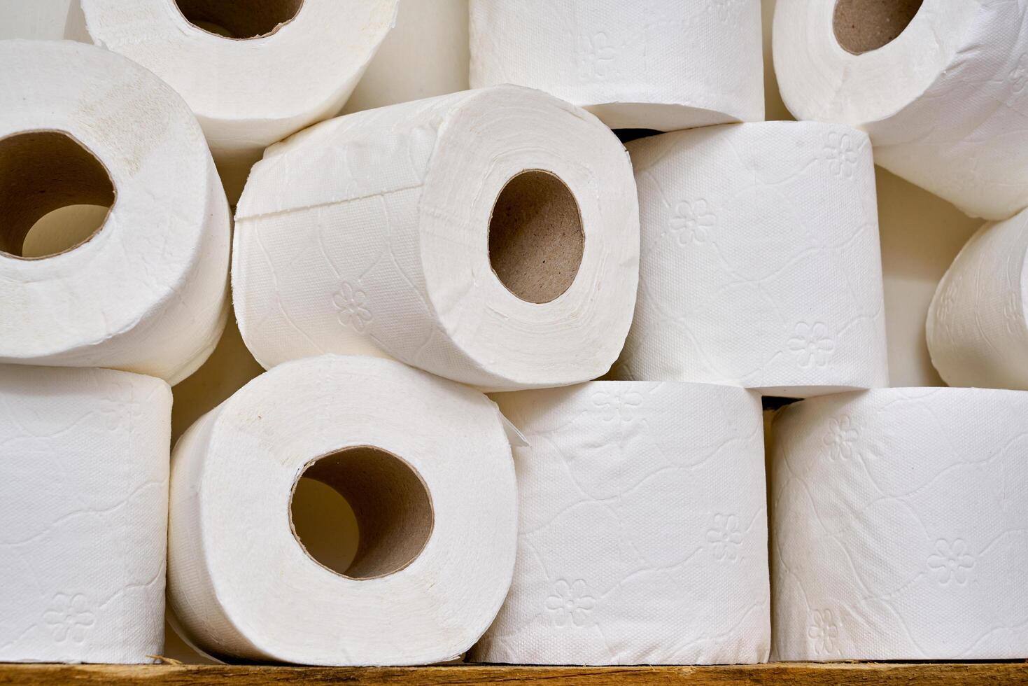 Pile of toilet paper in wc photo
