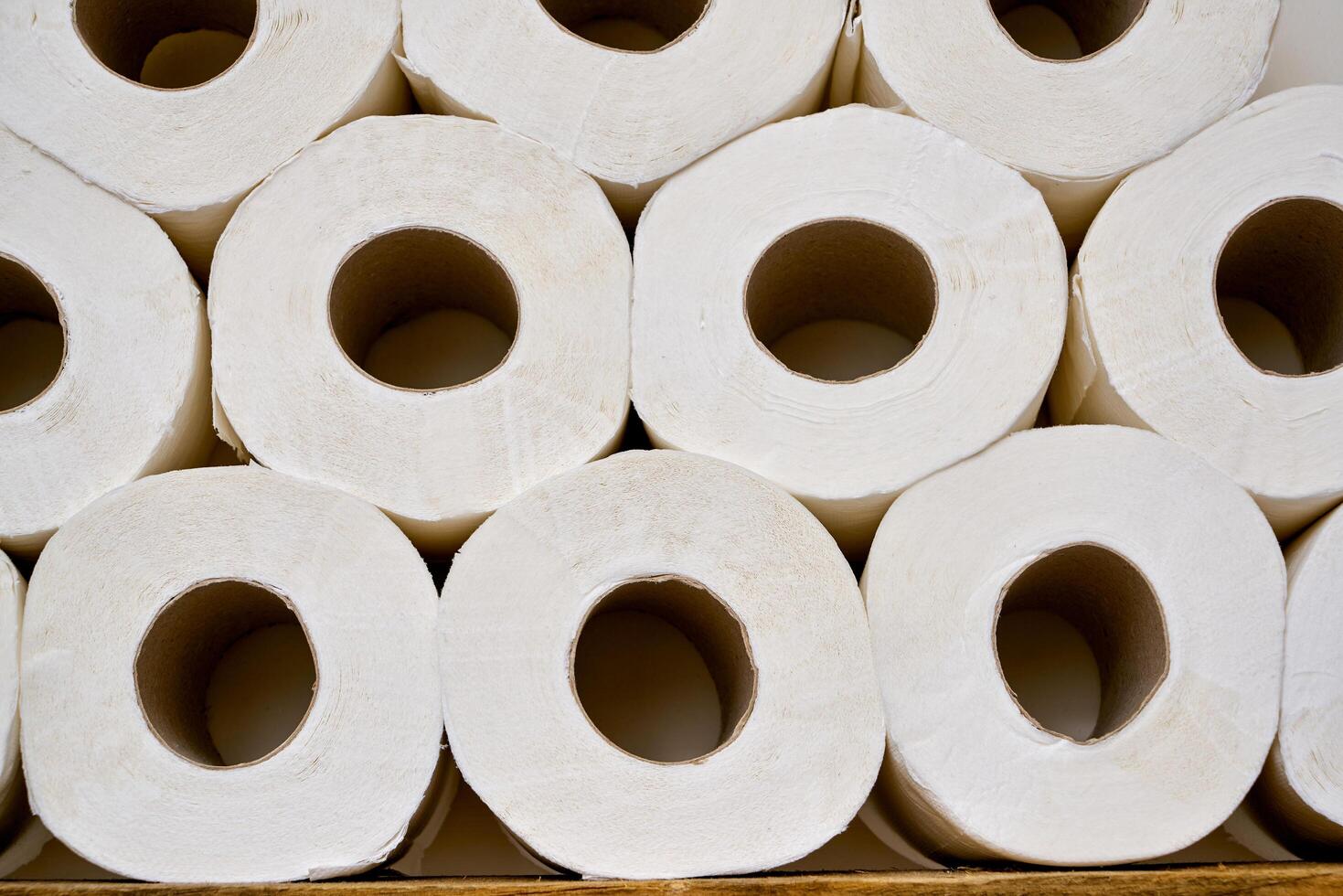 Pile of toilet paper in wc photo
