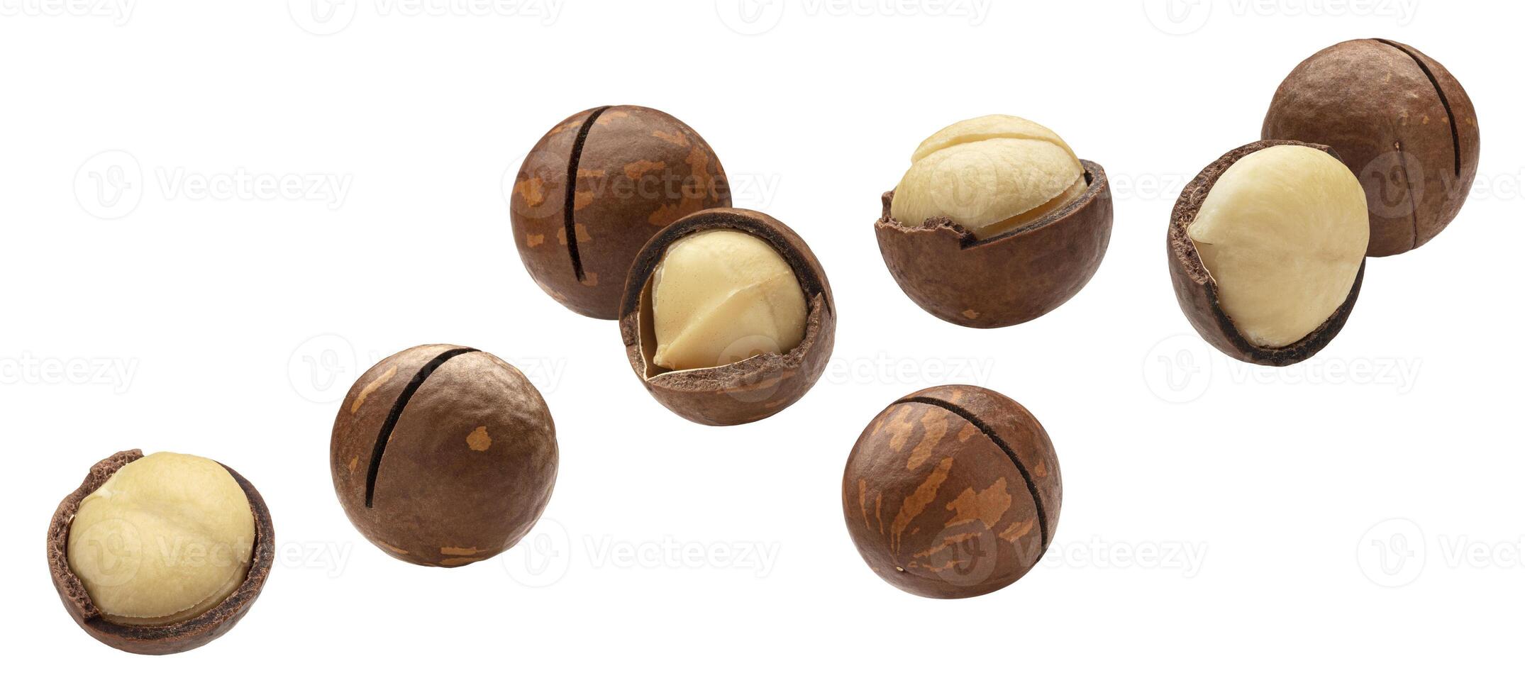 Falling macadamia nuts isolated on white background photo