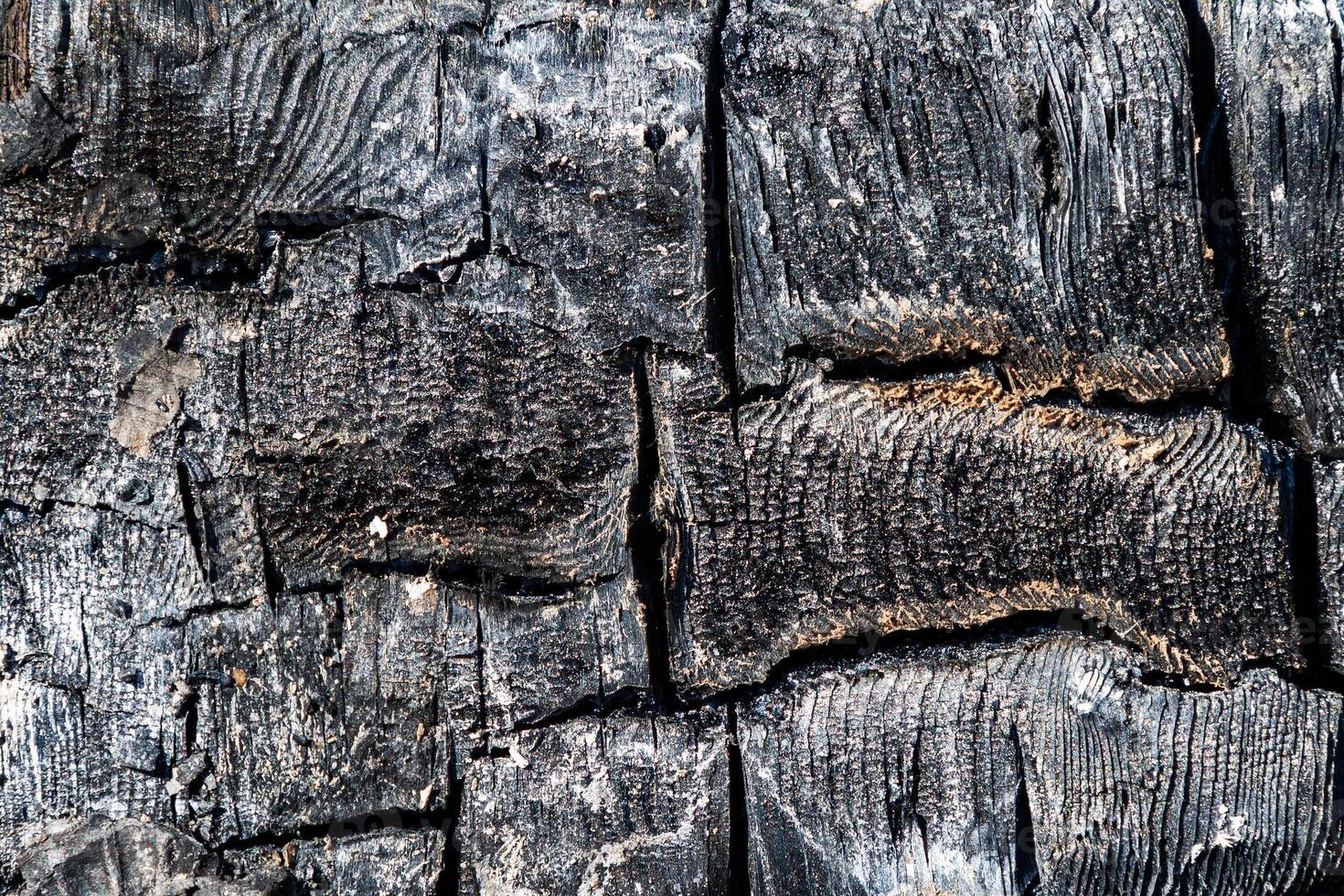 Wood abstract texture. Surface grunge backdrop. Dirty wooden effect pattern. Material background. photo