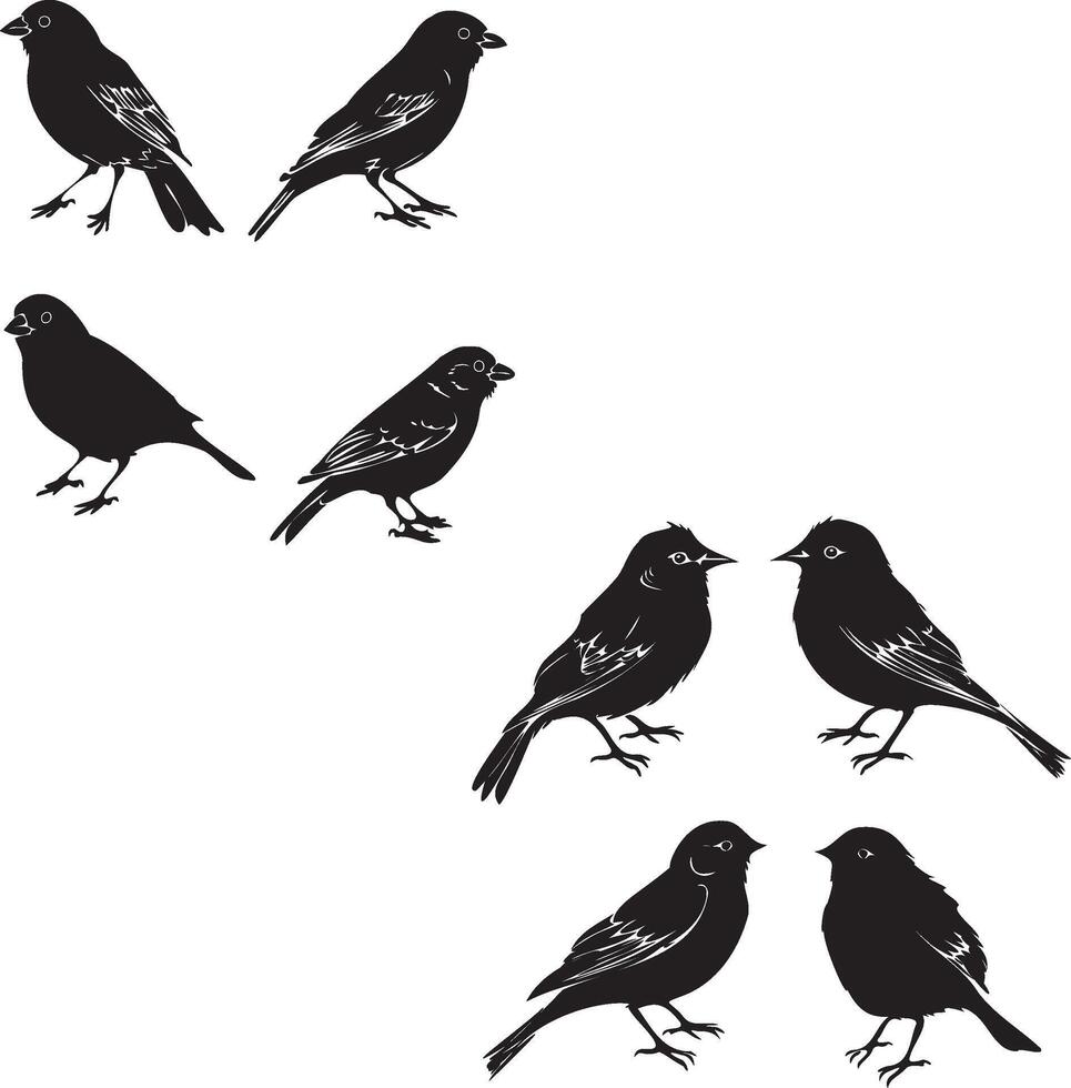Black silhouette birds vector
