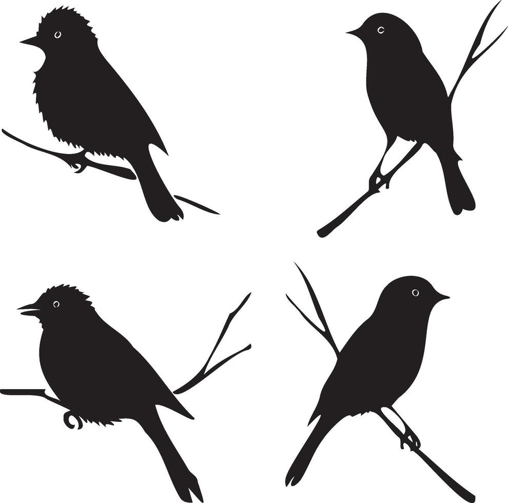 Black silhouette birds vector
