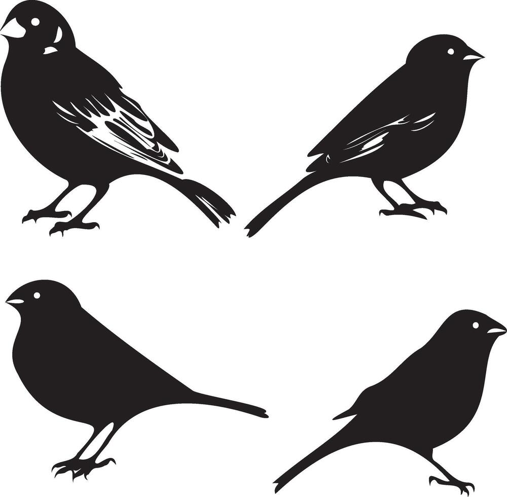 Black silhouette birds vector