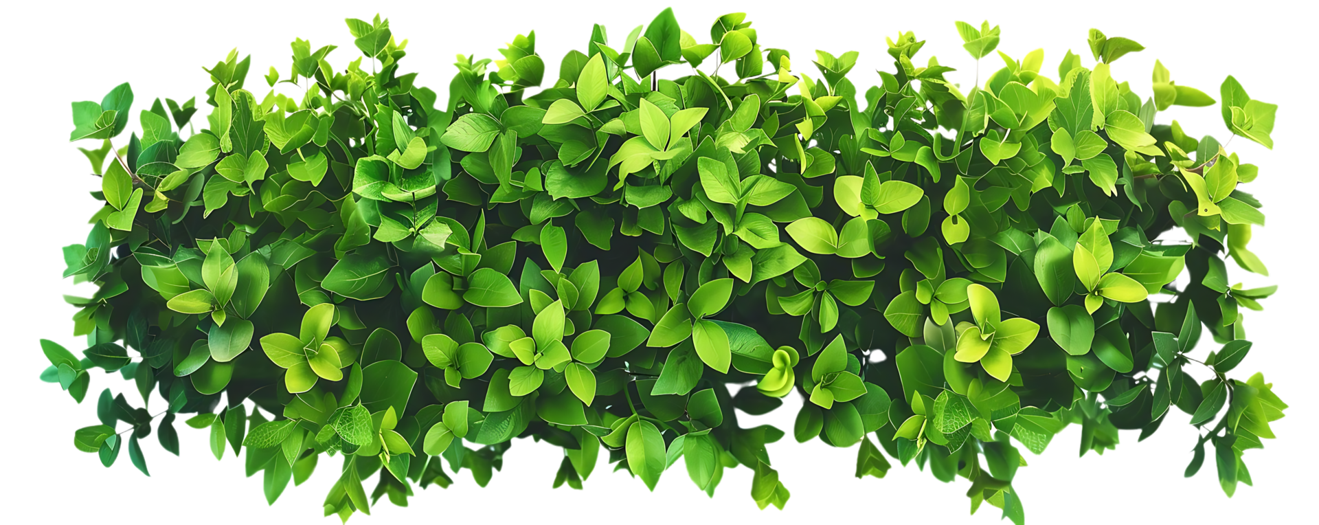 Green Leaves Bush - Realistic Image png