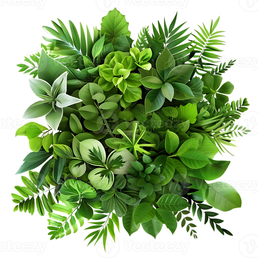 Illustration of Lush Green Tropical Leaves png