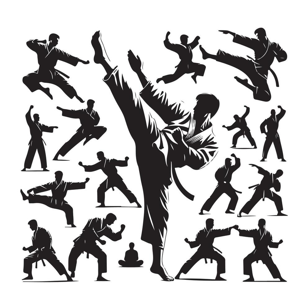 Set of Martial Arts Silhouette Design vector