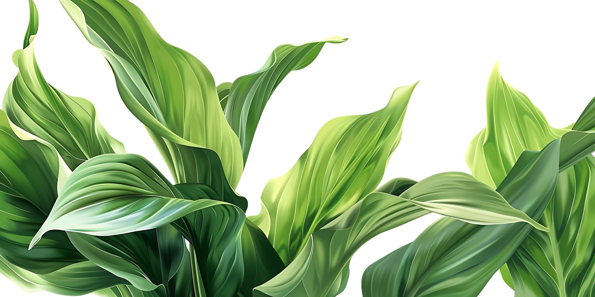Green Leaves Illustration png