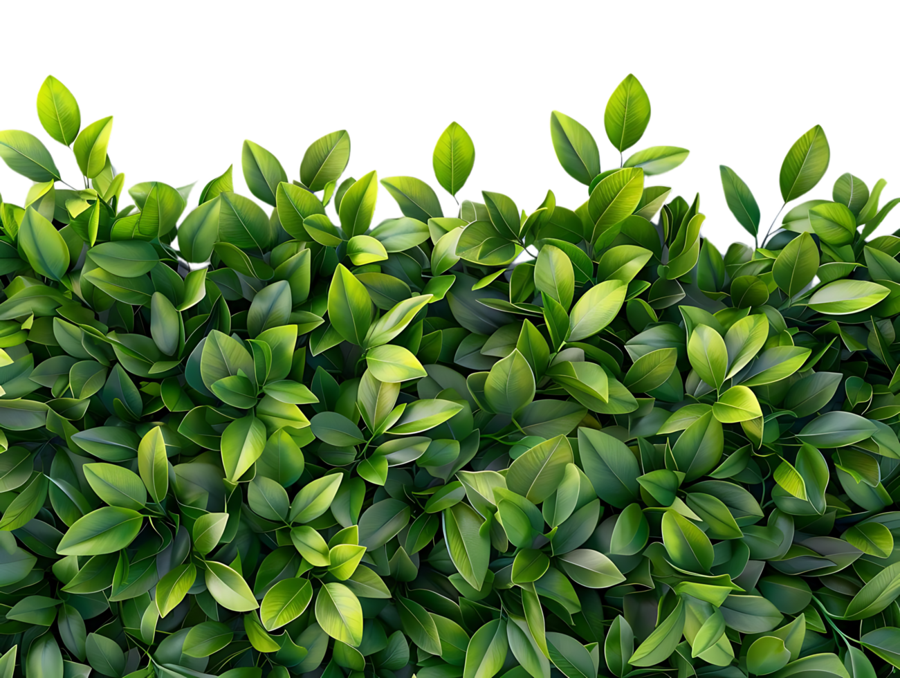 Green Leaves Illustration png