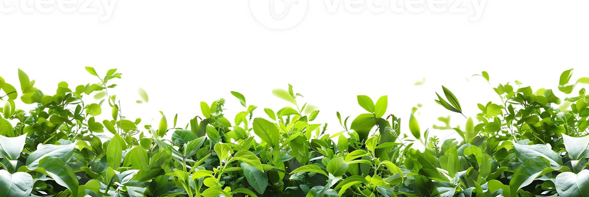 Green Lush Foliage Background Illustration png