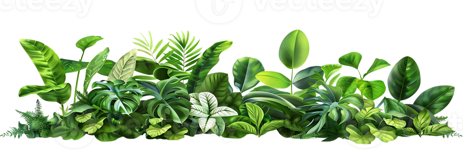 Tropical Green Foliage Illustration png