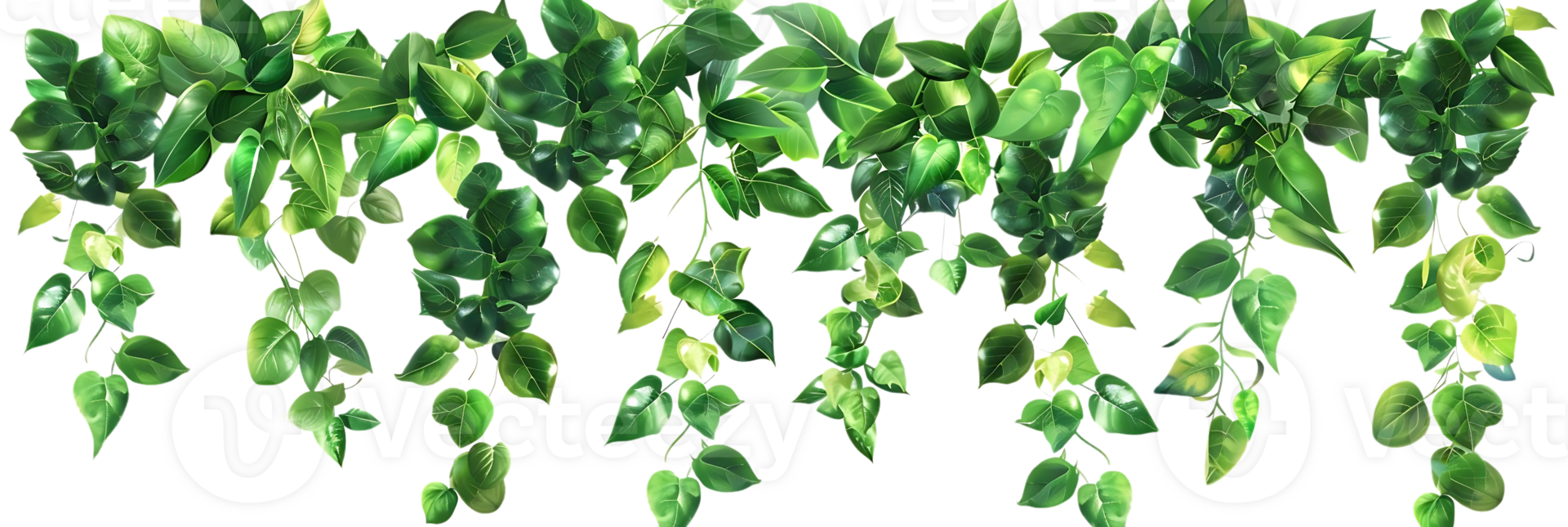 Green Leaves Hanging Illustration png