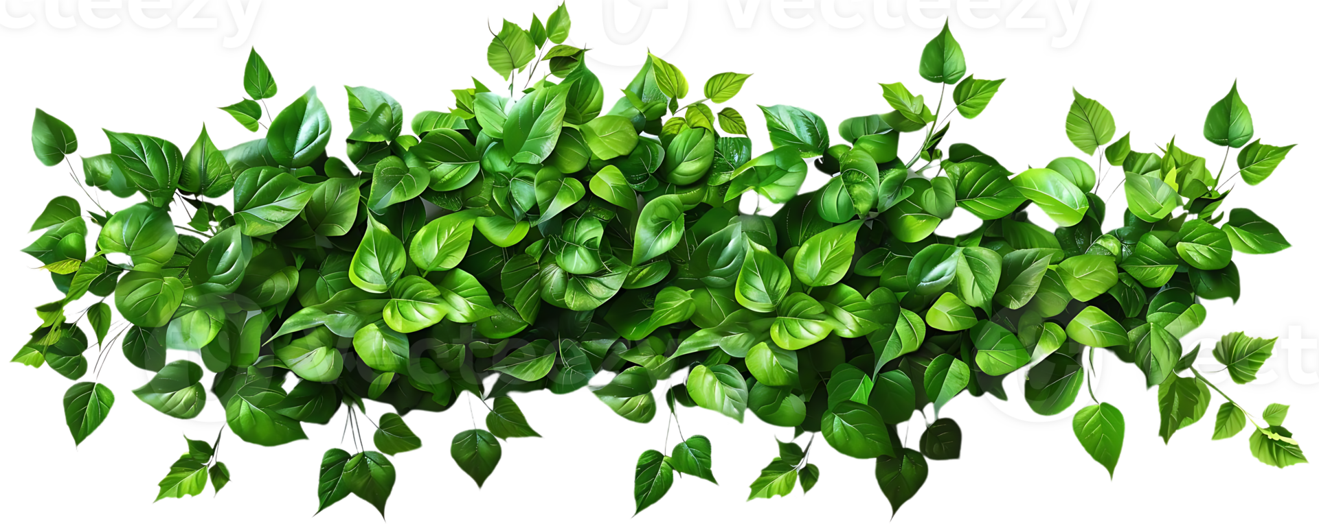 Green Leaves Background Illustration png