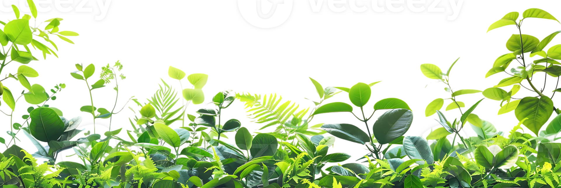 lussureggiante verde fogliame illustrazione png