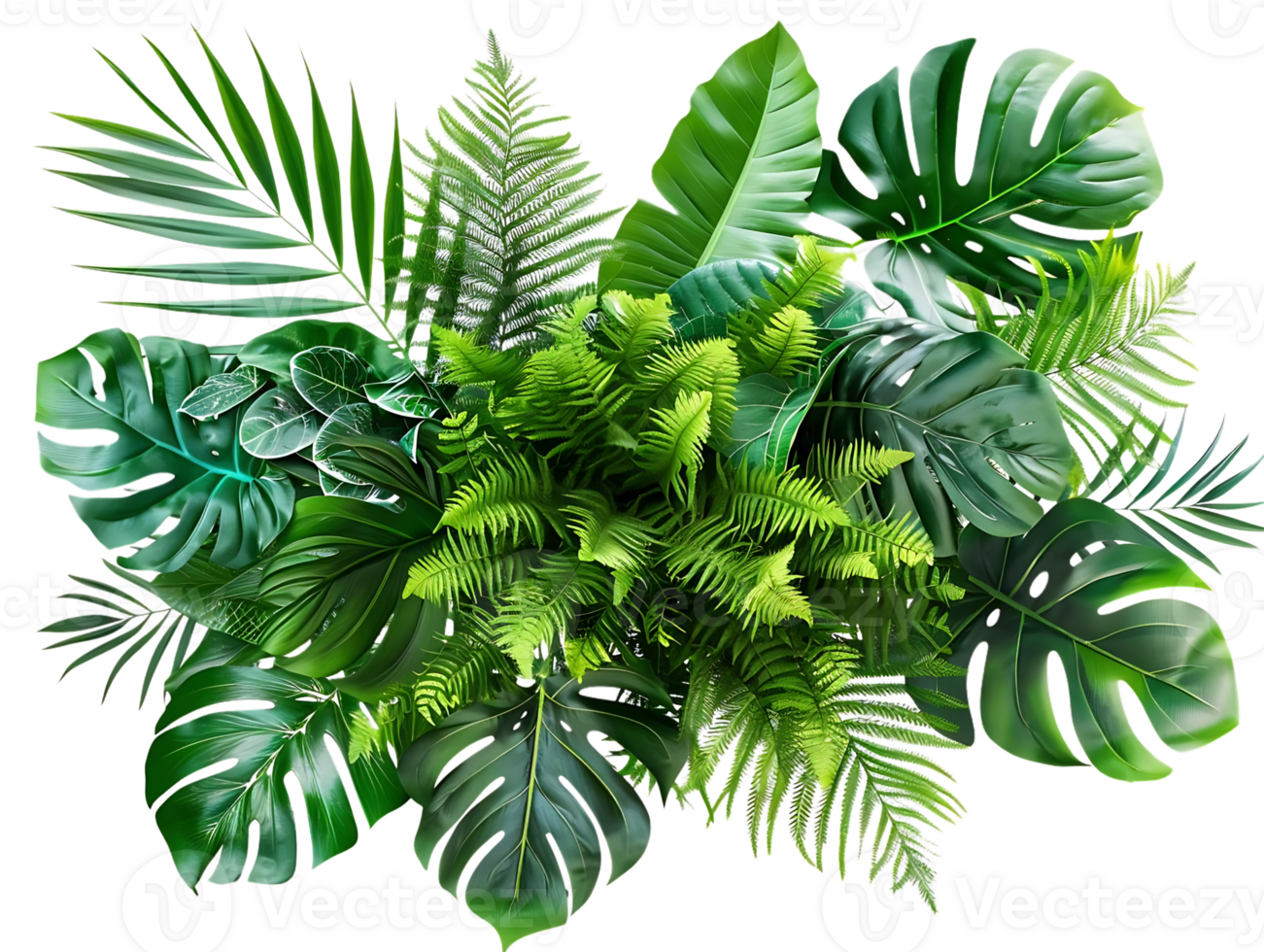 Green Tropical Leaves Illustration - Jungle Foliage Background Design png