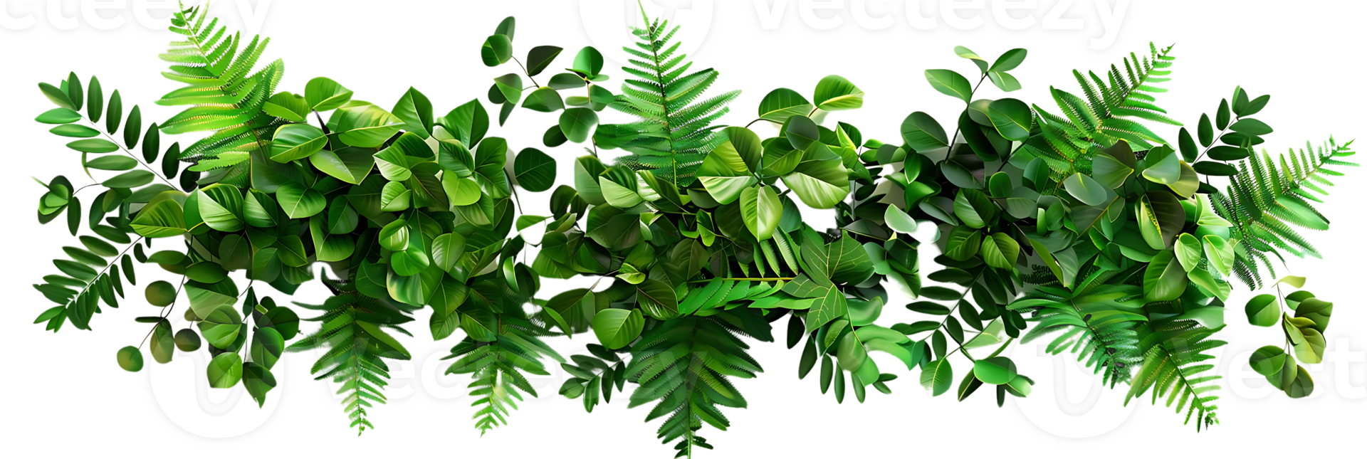 Green Leaves and Ferns Illustration png