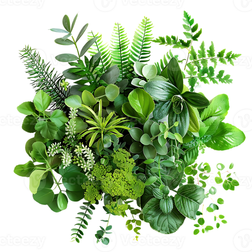 illustrazione di un' lussureggiante verde fogliame preparativi con un' varietà di impianti png