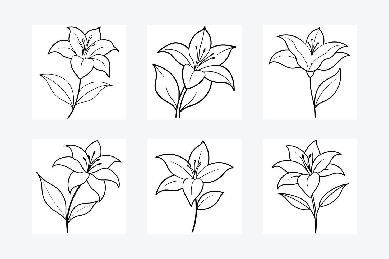 Lily flower line art illustration vector