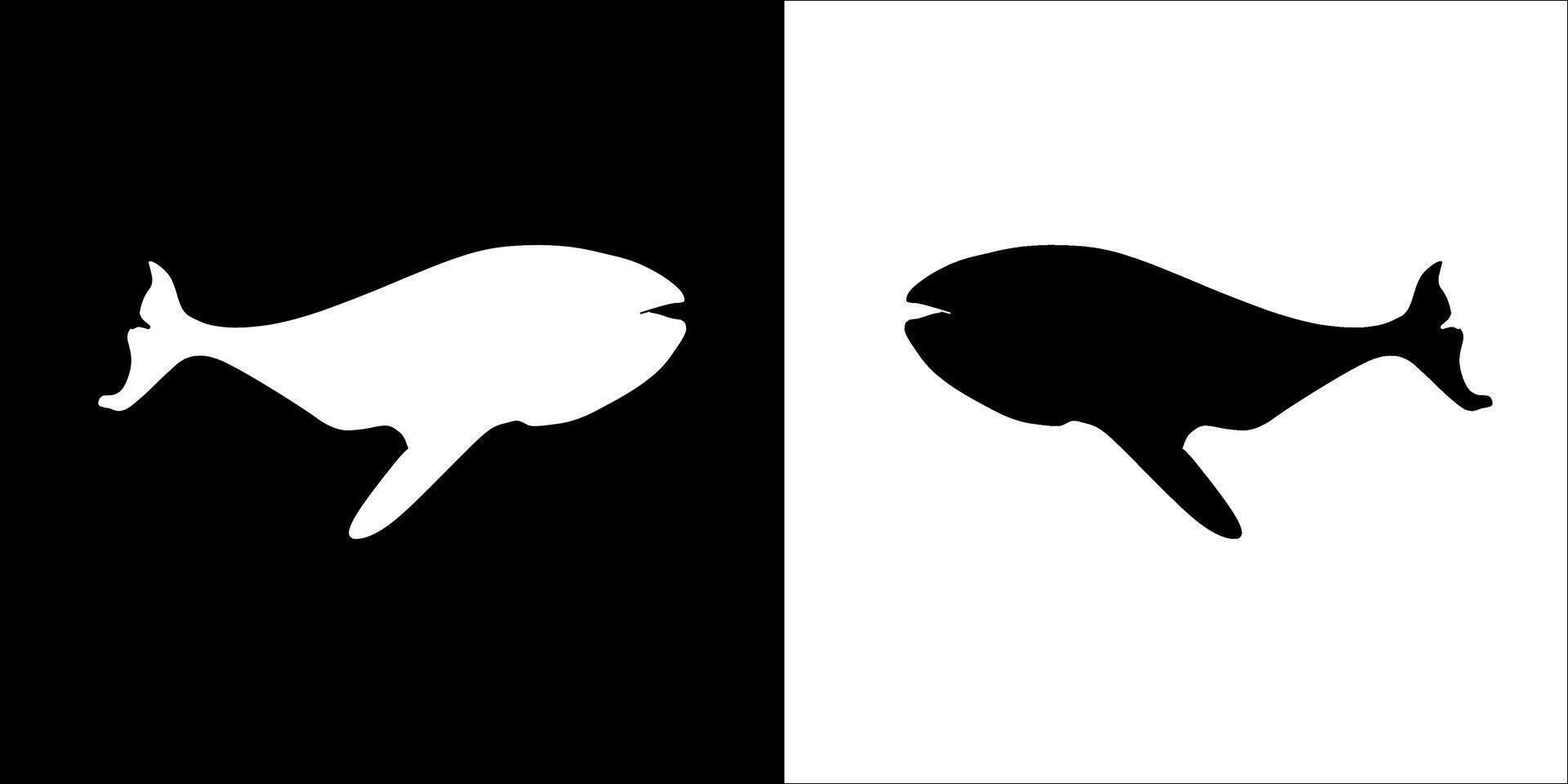 Illustration graphics of whale icon vector