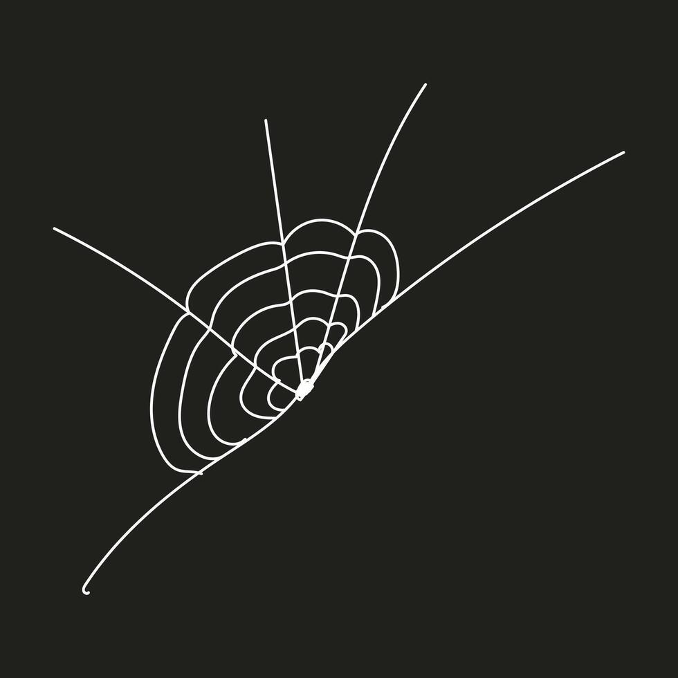 Spider web element vector