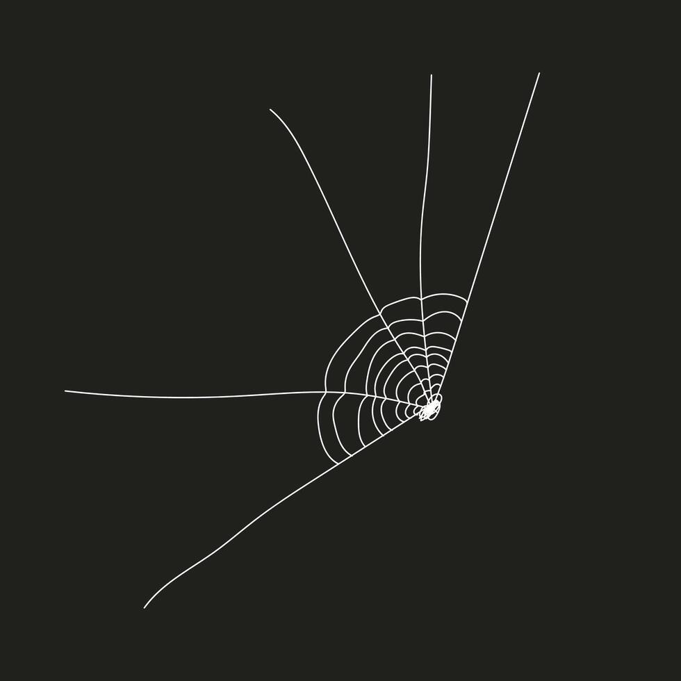 Spider web element vector