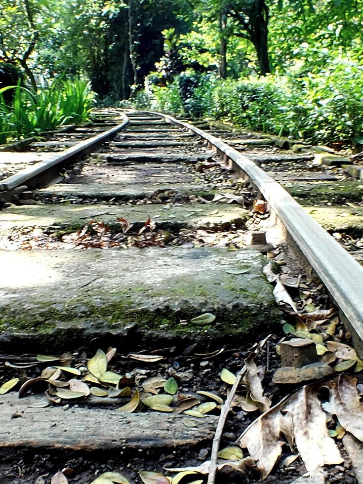 railway that leads into a forest. Old railway curve. Mass transportation concept background photo