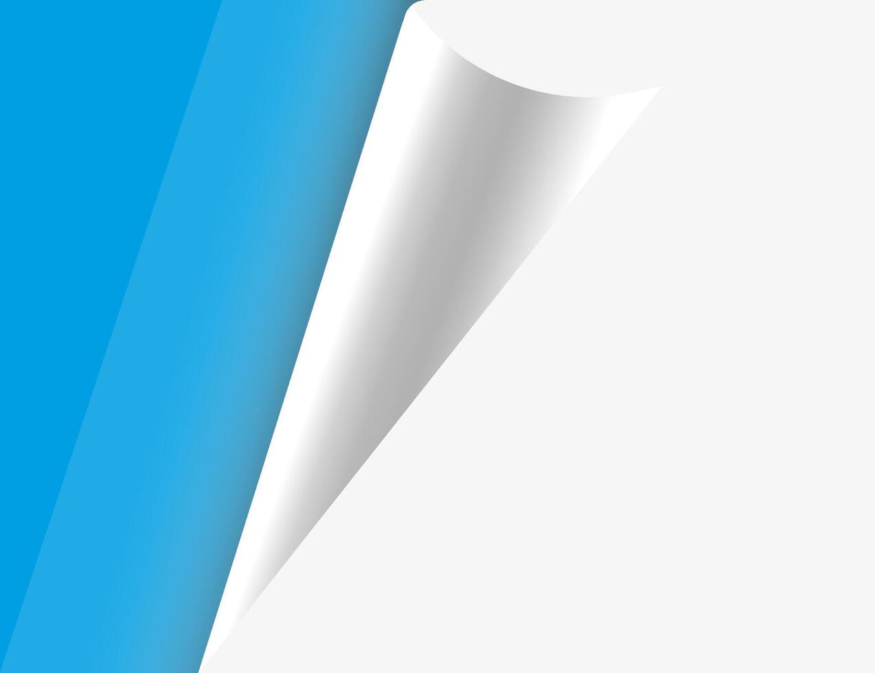 Paper with a curled edge. illustration. vector