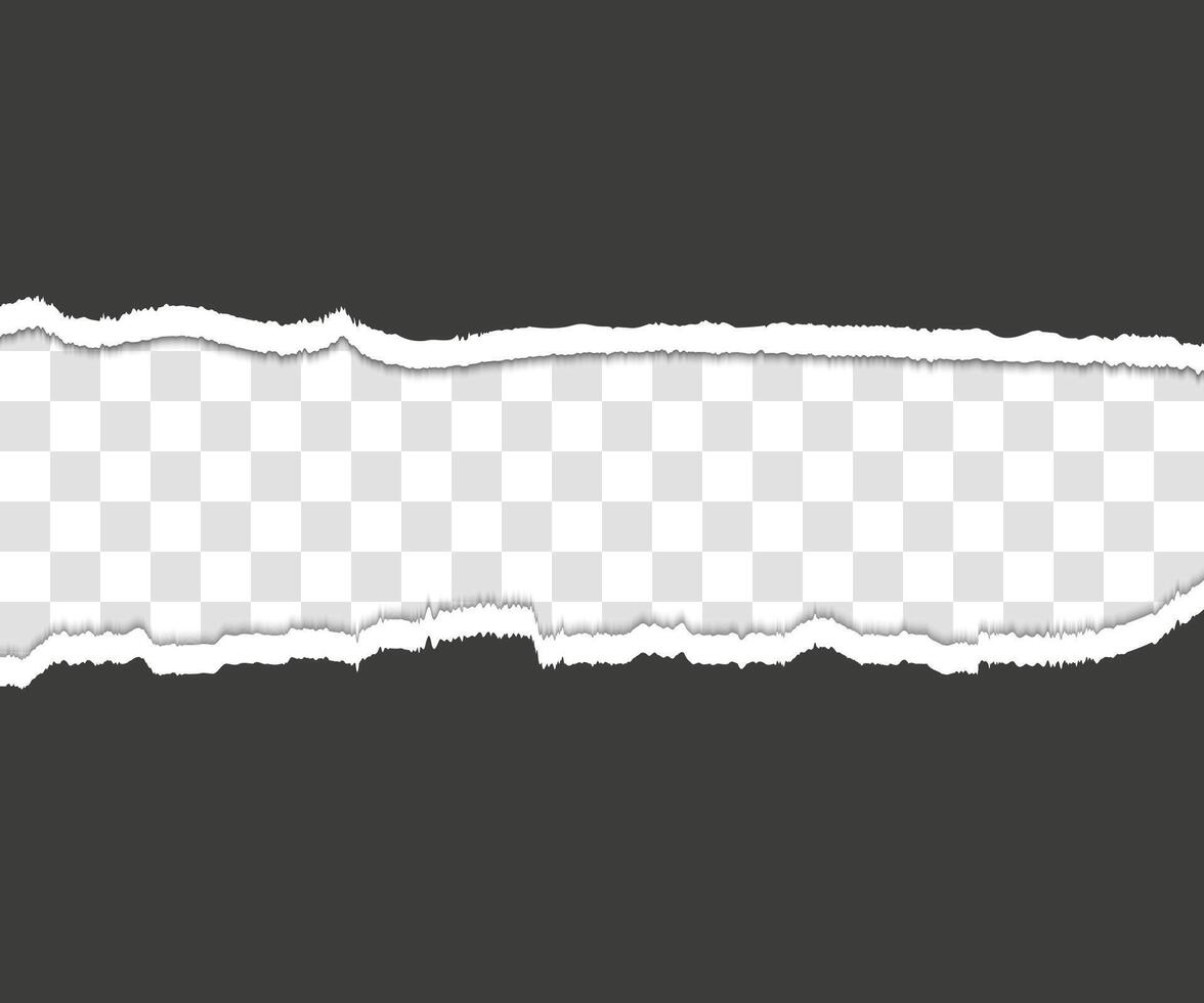 Ripped paper. Torn, ripped pieces. illustration. vector
