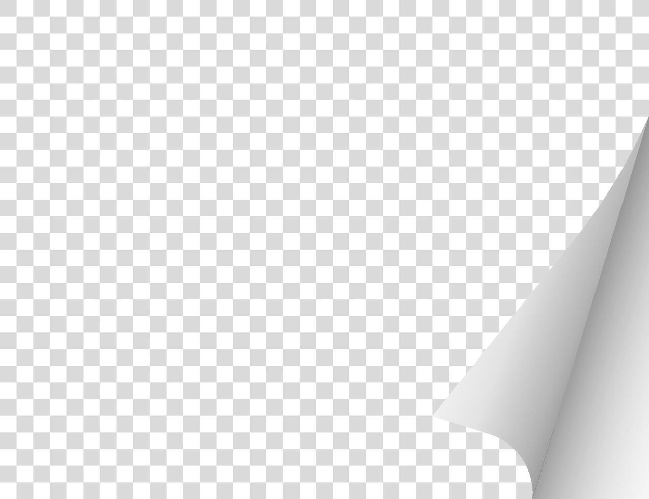 Paper with a curled edge. illustration. vector
