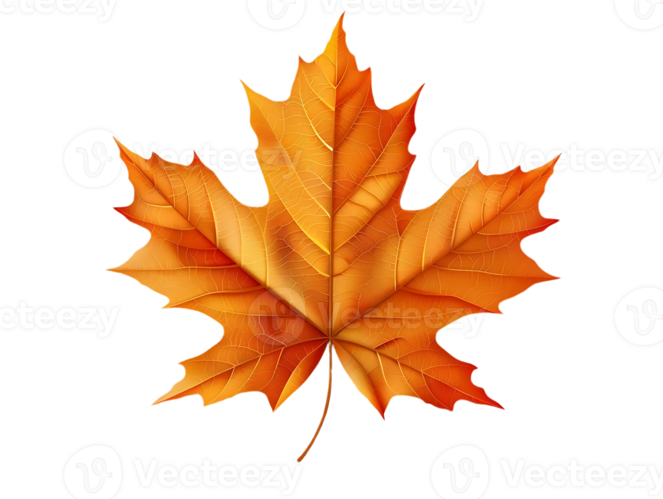 Single Orange Maple Leaf Illustration png