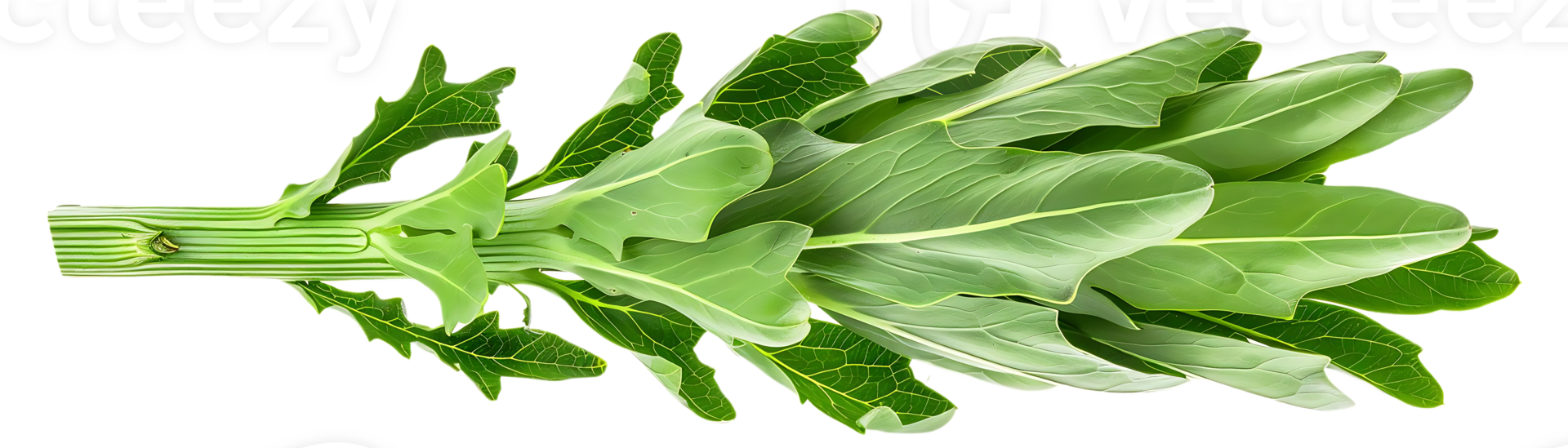 Green Leaf Bunch Realistic Image png