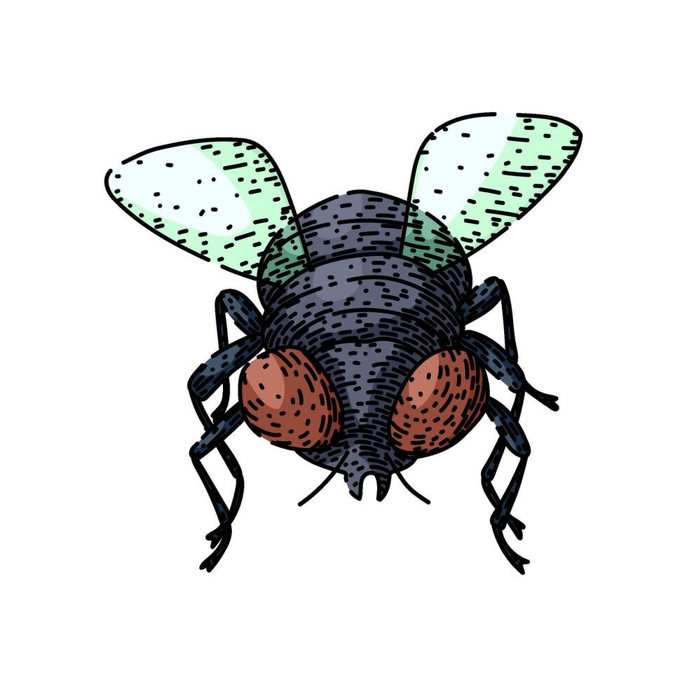isolated fly sketch hand drawn vector