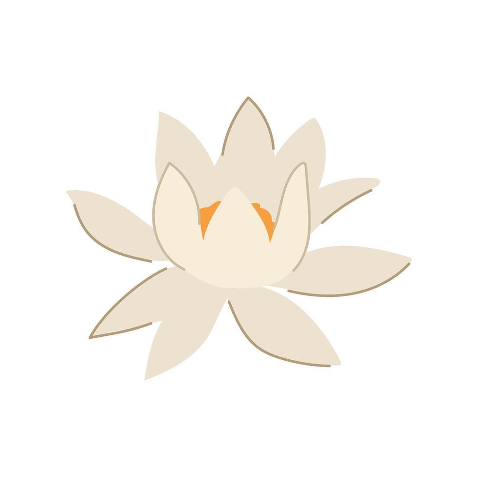 waterlily lotus flower cartoon illustration vector