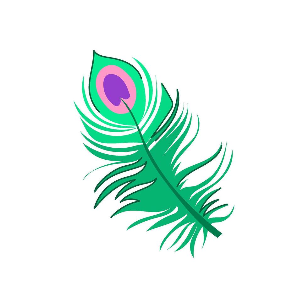 abstract peacock feather cartoon illustration vector