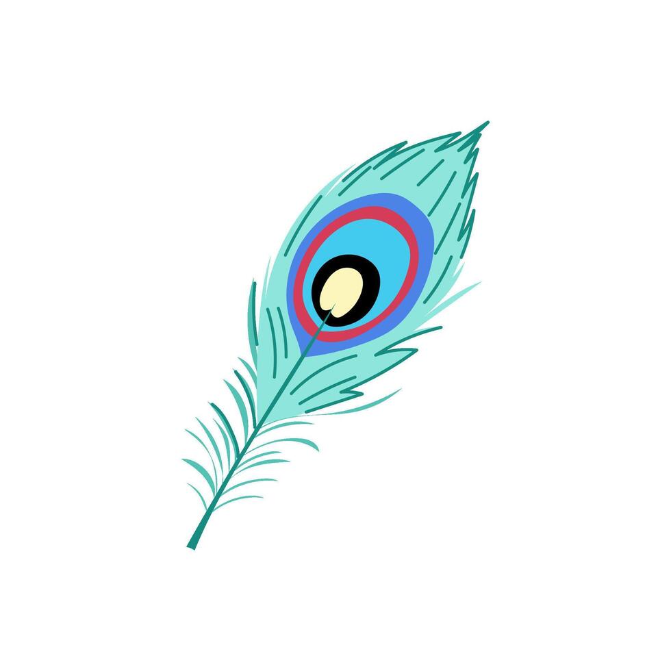 hand peacock feather cartoon illustration vector