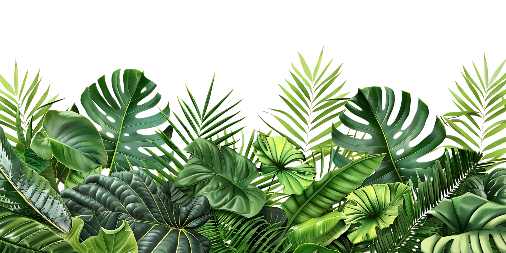 Tropical Green Leaves Illustration png