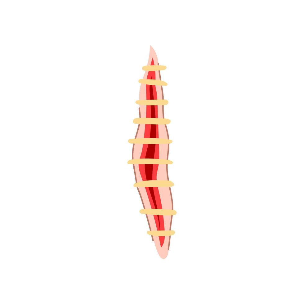 cut suture cartoon illustration vector