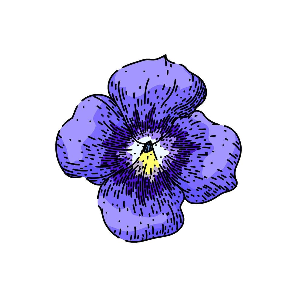 purple violet sketch hand drawn vector