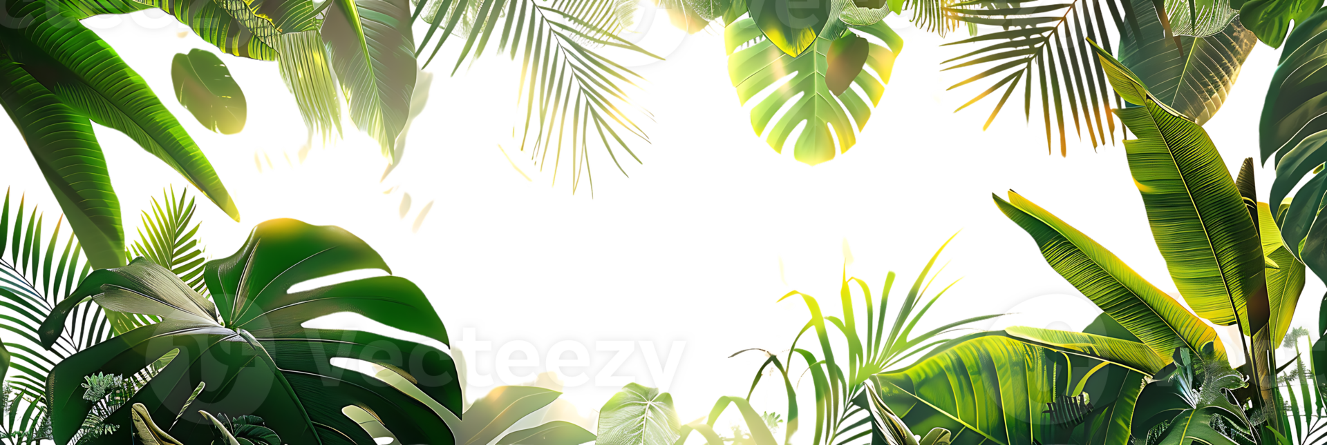 Green Tropical Leaves Illustration Background png