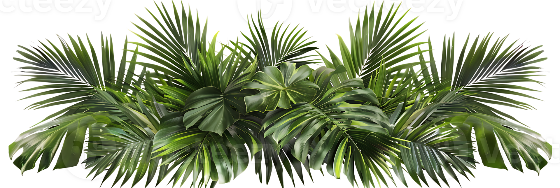 Tropical Green Palm Leaf Illustration png